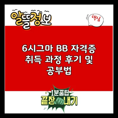 6시그마 BB 자격증 취득 과정 후기 및 공부법