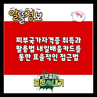 피부국가자격증 취득과 활용법: 내일배움카드를 통한 효율적인 접근법
