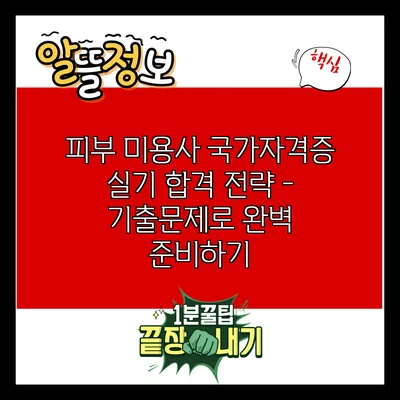 피부 미용사 국가자격증 실기 합격 전략 - 기출문제로 완벽 준비하기